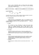 Konspekts 'Sintētiskie mazgāšanas līdzekļi. Veļas pulveris "Bonux"', 2.