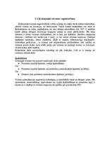 Referāts 'Jaunākās tendences automobiļu virsbūvju krāsošanā', 6.