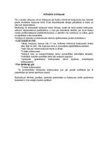 Referāts 'Jaunākās tendences automobiļu virsbūvju krāsošanā', 10.