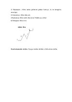 Konspekts 'Andreja Upīša trīs noveļu analīze', 5.