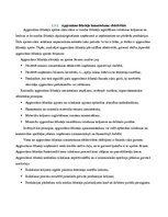 Referāts 'Zemnieku saimniecības "Kotiņi" bilances aktīvu analīze', 13.