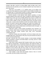 Referāts 'Jānis Rainis. Biogrāfija', 15.