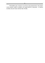 Referāts 'Jānis Rainis. Biogrāfija', 18.