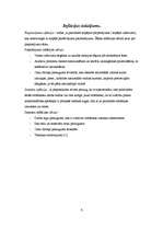 Referāts 'Inflācijas līmenis Latvijā no 1995.-2008.gadam', 6.