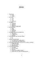 Referāts 'Inflācijas līmenis Latvijā no 1995.-2008.gadam', 8.