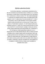 Referāts 'Inflācijas līmenis Latvijā no 1995.-2008.gadam', 17.