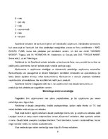 Referāts 'SIA "Sportland"', 6.