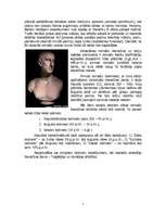 Referāts 'Senās Romas literatūra', 5.