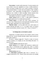 Referāts 'Vilinošie zīda audumi', 8.