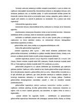 Referāts 'Grāmatvedība', 2.