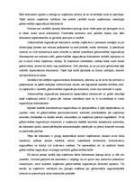 Referāts 'Grāmatvedība', 11.