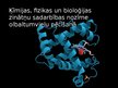 Prezentācija 'Olbaltumvielas', 12.
