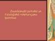 Prezentācija 'Jaundzimušā psihiskā un fizioloģiskā raksturojuma īpatnības', 1.