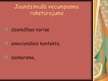 Prezentācija 'Jaundzimušā psihiskā un fizioloģiskā raksturojuma īpatnības', 10.