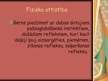Prezentācija 'Jaundzimušā psihiskā un fizioloģiskā raksturojuma īpatnības', 14.