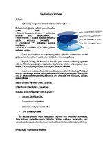 Konspekts 'Essilor lēcu klājumi', 1.