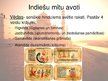 Prezentācija 'Indiešu mīti', 2.