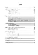 Referāts 'Mārketinga politikas izstrādāšana tūrisma aģentūrai "Vīza-Tūrs"', 2.