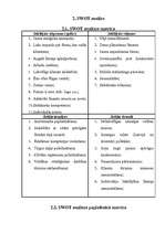 Referāts 'Mārketinga politikas izstrādāšana tūrisma aģentūrai "Vīza-Tūrs"', 13.