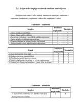 Referāts 'Mārketinga politikas izstrādāšana tūrisma aģentūrai "Vīza-Tūrs"', 16.