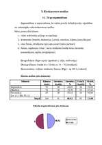 Referāts 'Mārketinga politikas izstrādāšana tūrisma aģentūrai "Vīza-Tūrs"', 21.
