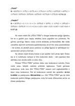 Referāts 'Mārketinga politikas izstrādāšana tūrisma aģentūrai "Vīza-Tūrs"', 25.