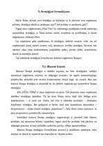 Referāts 'Mārketinga politikas izstrādāšana tūrisma aģentūrai "Vīza-Tūrs"', 32.