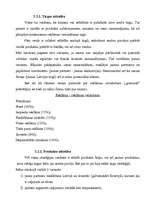 Referāts 'Mārketinga politikas izstrādāšana tūrisma aģentūrai "Vīza-Tūrs"', 34.