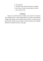Referāts 'Mārketinga politikas izstrādāšana tūrisma aģentūrai "Vīza-Tūrs"', 36.
