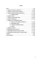 Referāts 'Uzņēmuma dzīves cikls', 2.