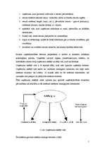 Referāts 'Uzņēmuma dzīves cikls', 5.
