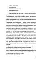 Referāts 'Uzņēmuma dzīves cikls', 6.