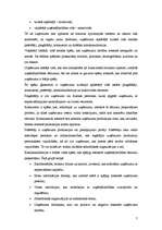 Referāts 'Uzņēmuma dzīves cikls', 7.