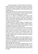 Referāts 'Uzņēmuma dzīves cikls', 8.