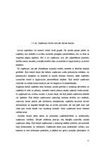 Referāts 'Uzņēmuma dzīves cikls', 11.