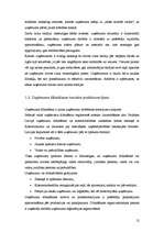 Referāts 'Uzņēmuma dzīves cikls', 12.