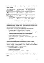 Referāts 'Uzņēmuma dzīves cikls', 13.