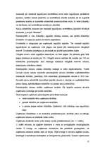 Referāts 'Uzņēmuma dzīves cikls', 17.