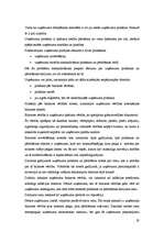 Referāts 'Uzņēmuma dzīves cikls', 19.