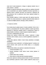 Referāts 'Uzņēmuma dzīves cikls', 20.