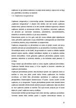 Referāts 'Uzņēmuma dzīves cikls', 29.