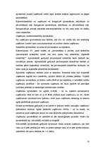 Referāts 'Uzņēmuma dzīves cikls', 30.