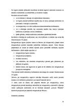 Referāts 'Uzņēmuma dzīves cikls', 34.