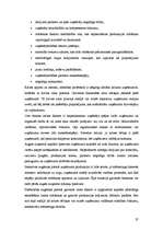 Referāts 'Uzņēmuma dzīves cikls', 37.