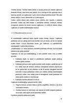 Referāts 'Uzņēmuma dzīves cikls', 39.