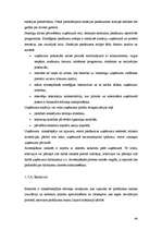 Referāts 'Uzņēmuma dzīves cikls', 44.