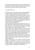 Referāts 'Uzņēmuma dzīves cikls', 47.