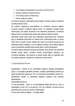 Referāts 'Uzņēmuma dzīves cikls', 49.