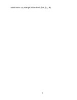 Referāts 'Lasītprasmes un tekstpratības attīstīšana sākumskolas klasēs latviešu valodas ap', 5.