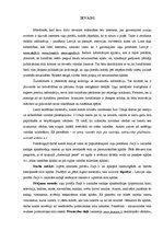 Konspekts 'Stila kļūdu analīze portāla "Delfi.lv" izklaides sadaļā', 2.